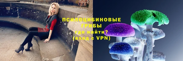 эйфоретик Переславль-Залесский
