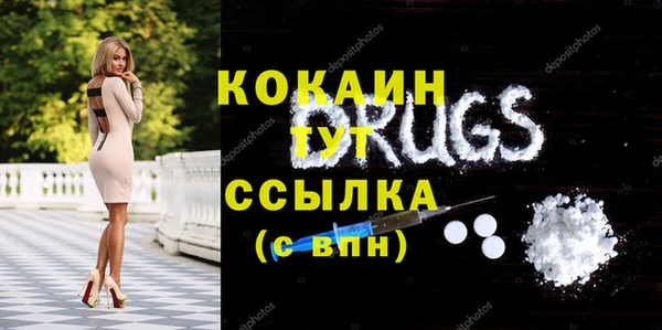 мет Пересвет