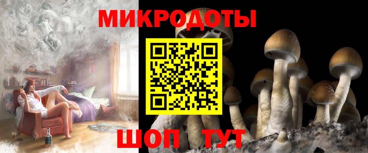 Лабинск  Псилоцибиновые грибы Psilocybe  где можно купить   Вход с VPN  Галлюциногенные грибы мицелий 