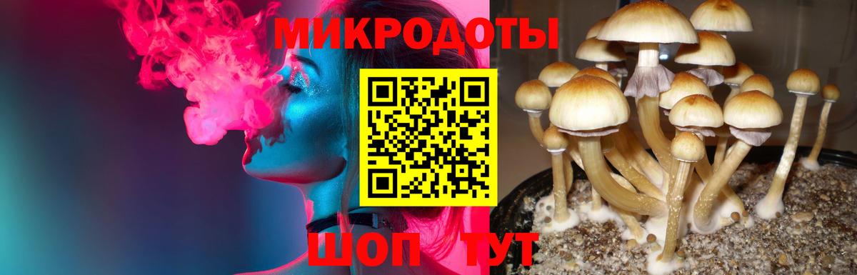 Галлюциногенные грибы Cubensis Лабинск